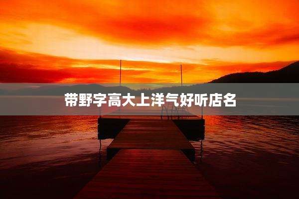 带野字高大上洋气好听店名