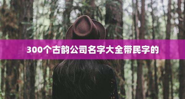 300个古韵公司名字大全带民字的