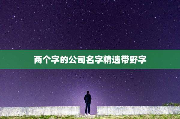 两个字的公司名字精选带野字
