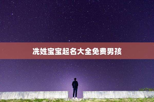 冼姓宝宝起名大全免费男孩