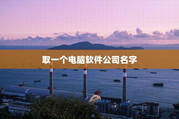 取一个电脑软件公司名字