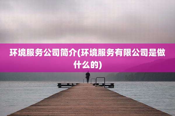 环境服务公司简介(环境服务有限公司是做什么的)