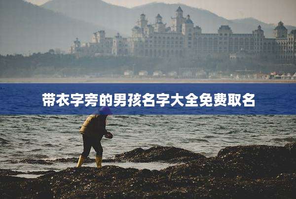 带衣字旁的男孩名字大全免费取名