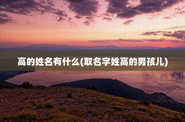 高的姓名有什么(取名字姓高的男孩儿)