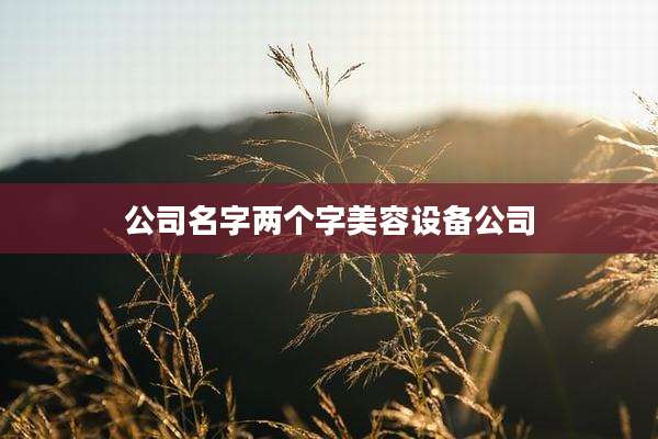 公司名字两个字美容设备公司