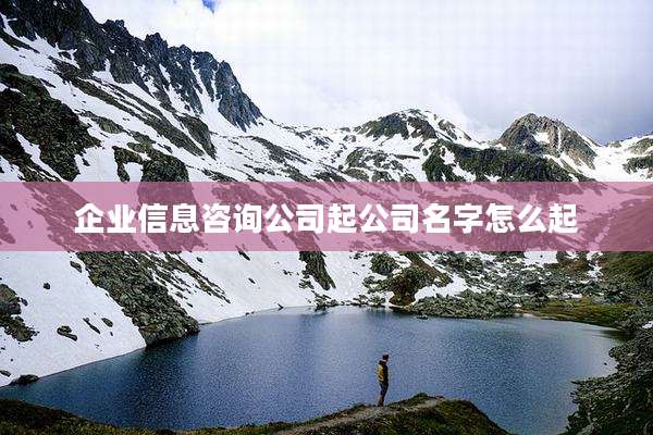 企业信息咨询公司起公司名字怎么起