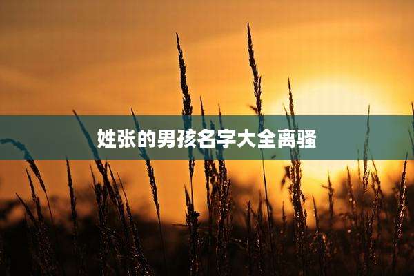 姓张的男孩名字大全离骚
