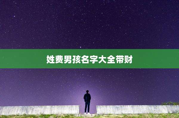 姓费男孩名字大全带财