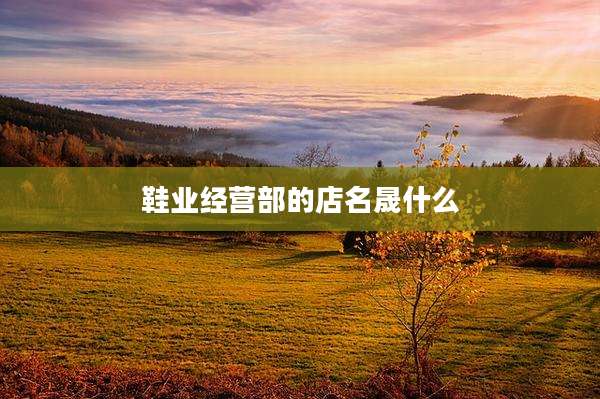 鞋业经营部的店名晟什么