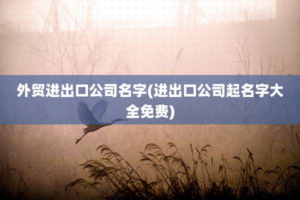 外贸进出口公司名字(进出口公司起名字大全免费)