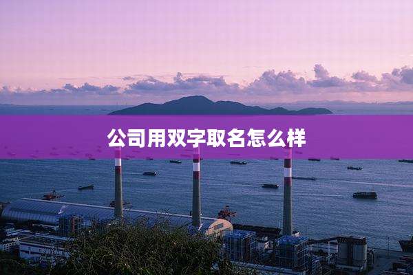 公司用双字取名怎么样