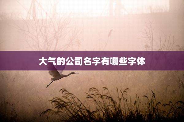 大气的公司名字有哪些字体