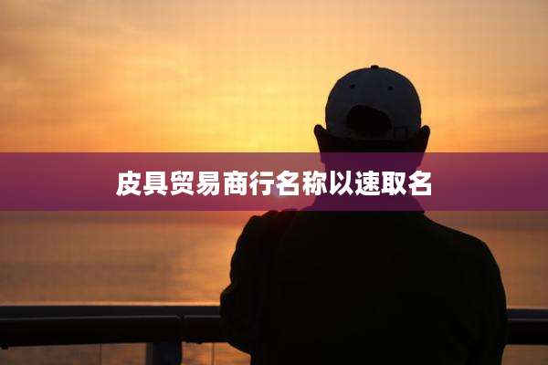 皮具贸易商行名称以速取名