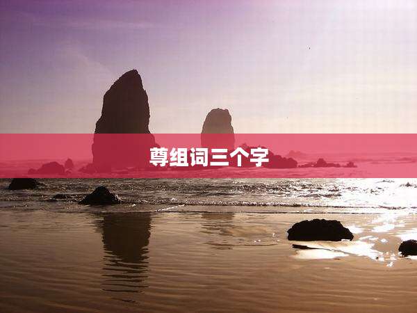 尊组词三个字