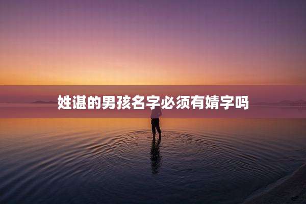 姓谌的男孩名字必须有婧字吗