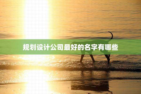 规划设计公司最好的名字有哪些