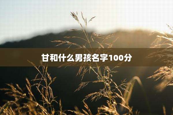 甘和什么男孩名字100分