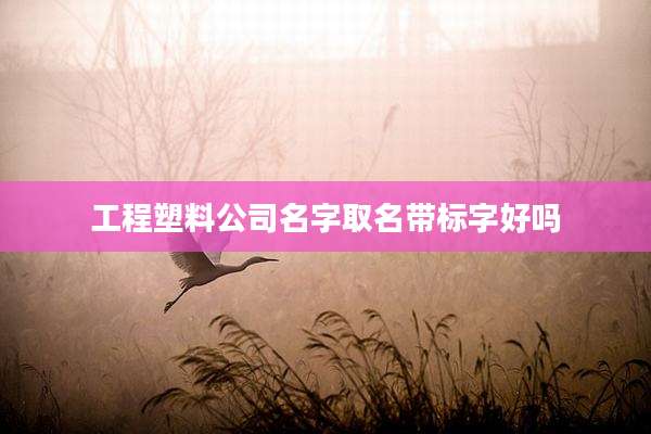 工程塑料公司名字取名带标字好吗
