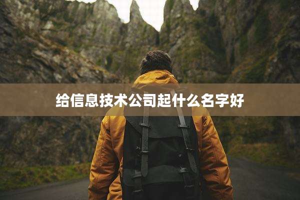 给信息技术公司起什么名字好