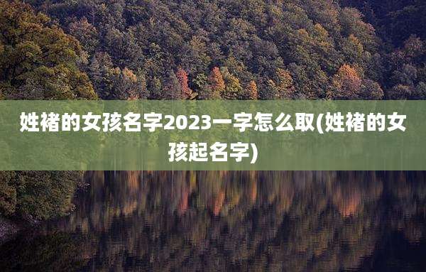 姓褚的女孩名字2023一字怎么取(姓褚的女孩起名字)