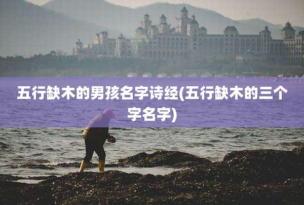 五行缺木的男孩名字诗经(五行缺木的三个字名字)