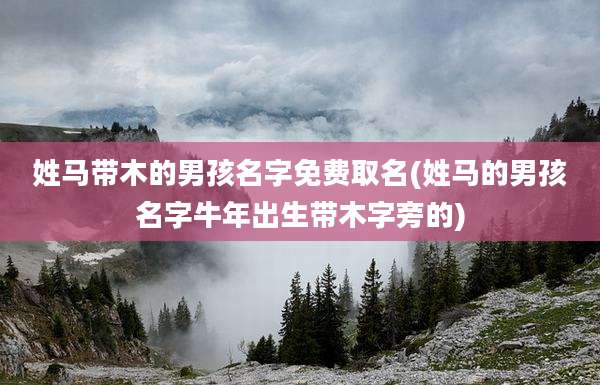 姓马带木的男孩名字免费取名(姓马的男孩名字牛年出生带木字旁的)