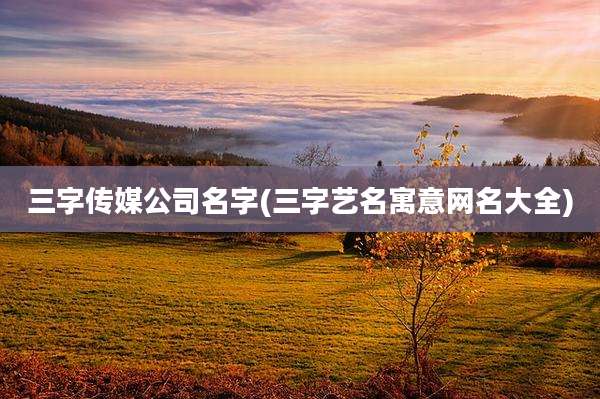 三字传媒公司名字(三字艺名寓意网名大全)