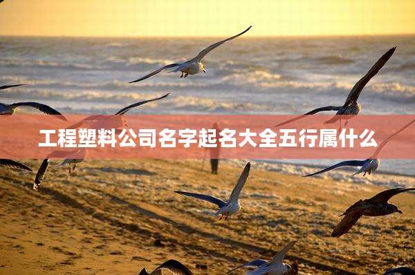 工程塑料公司名字起名大全五行属什么