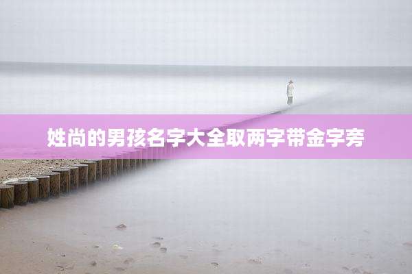 姓尚的男孩名字大全取两字带金字旁