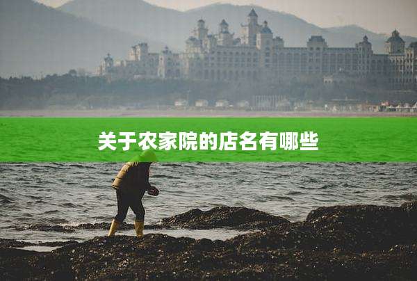 关于农家院的店名有哪些