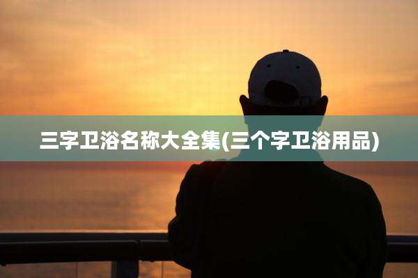 三字卫浴名称大全集(三个字卫浴用品)