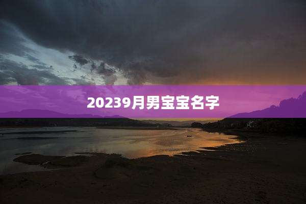 20239月男宝宝名字