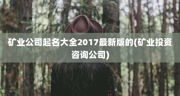 矿业公司起名大全2017最新版的(矿业投资咨询公司)