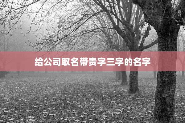 给公司取名带贵字三字的名字
