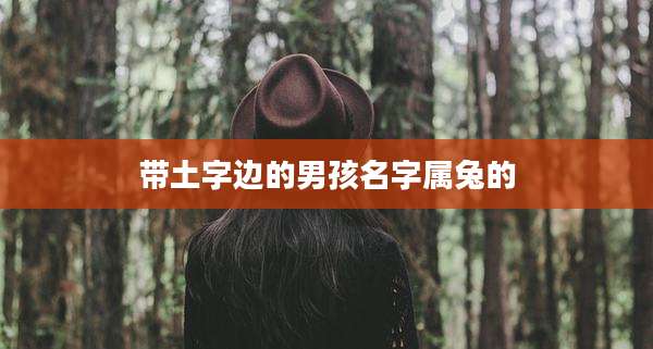 带土字边的男孩名字属兔的