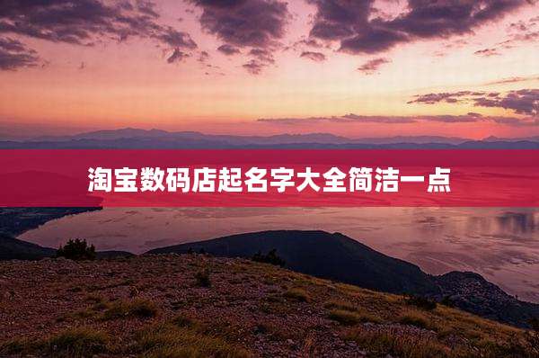 淘宝数码店起名字大全简洁一点