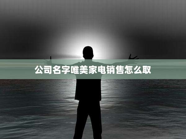 公司名字唯美家电销售怎么取
