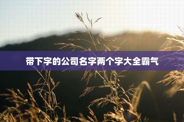 带下字的公司名字两个字大全霸气