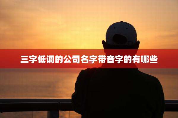 三字低调的公司名字带音字的有哪些