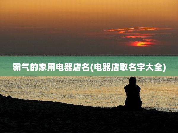 霸气的家用电器店名(电器店取名字大全)