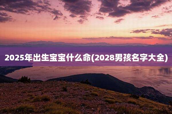 2025年出生宝宝什么命(2028男孩名字大全)