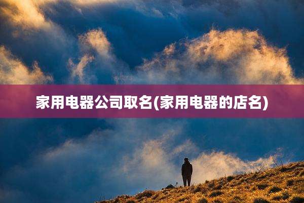 家用电器公司取名(家用电器的店名)