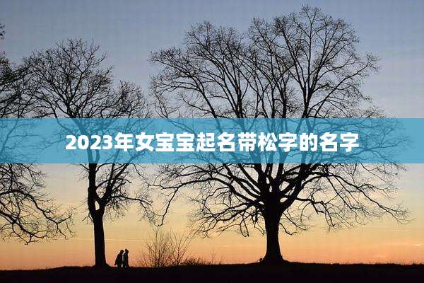 2023年女宝宝起名带松字的名字