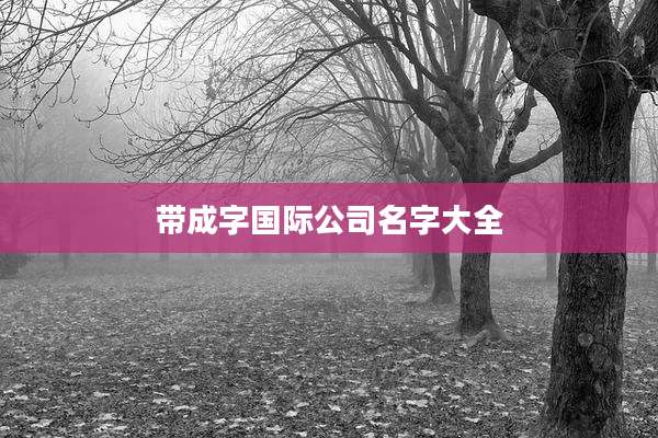带成字国际公司名字大全