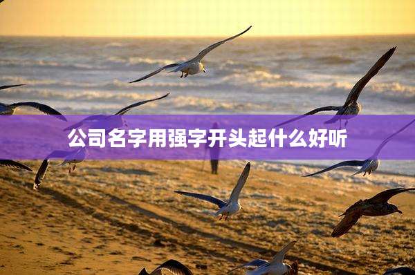 公司名字用强字开头起什么好听