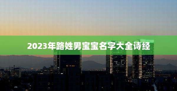 2023年路姓男宝宝名字大全诗经
