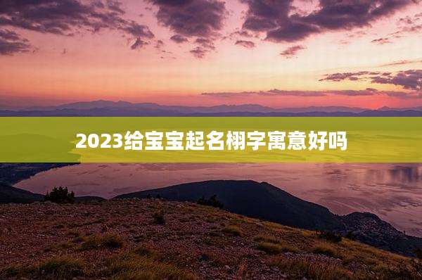 2023给宝宝起名栩字寓意好吗