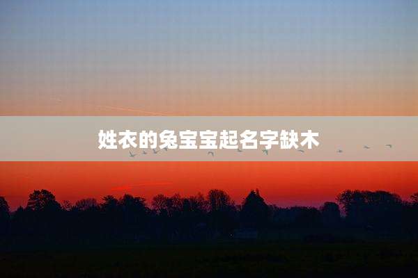 姓衣的兔宝宝起名字缺木