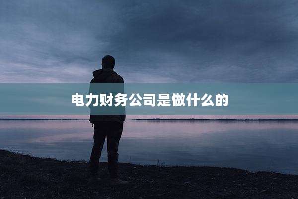 电力财务公司是做什么的