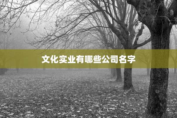 文化实业有哪些公司名字